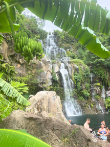 cascade ile reunion traiteur reunionnais lyonnais