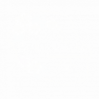 la kaz paradis blanc hd 300dpi fond transparent 46x46cm